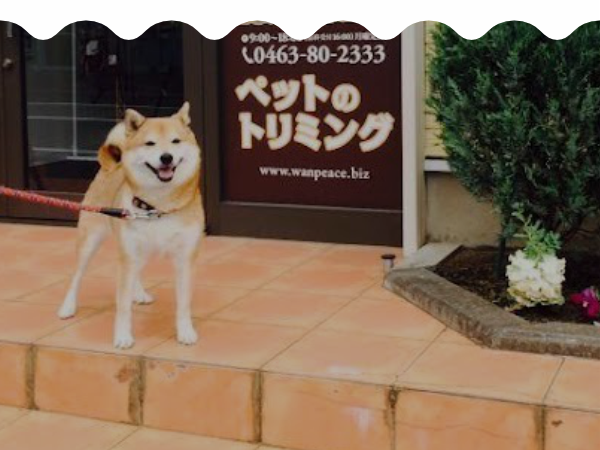 料金案内ページ
