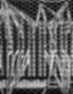 Design sem nome (25).png