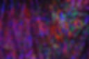050123 SP 11.jpg