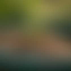 Sustainable Solutions: Connecting Food Waste to Innovators