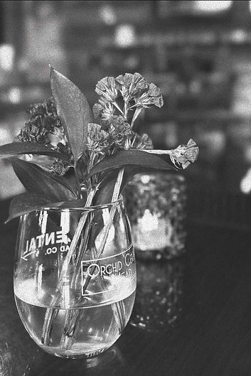 A6046DCE-7379-428F-80EF-ABB53B0EEFD0_L0_