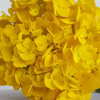 WhatsApp Image 2020-03-11 at 11.20.08.jp