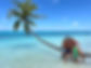 IMG_3270.JPEG