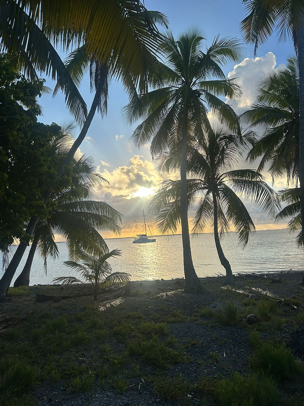 Amanu (22)