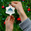 Thumbnail: Ceramic Ornament, 2 shapes