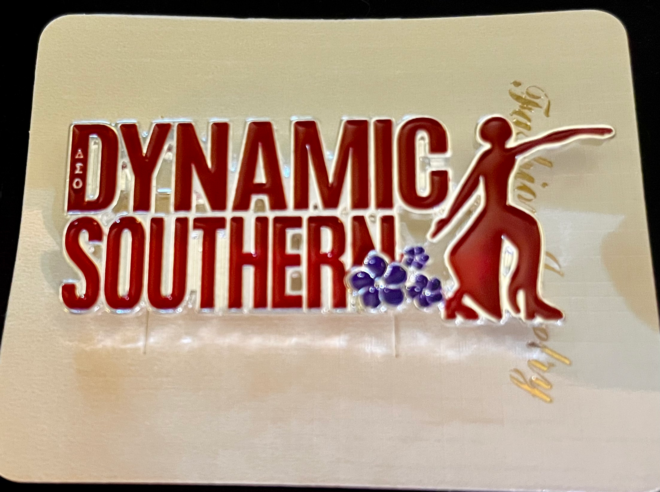  DST ‘Dynamic Southern’ Brooch/Pin