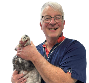 aa748f7c82a55e6e9569de9cb91e6ec0_edited.