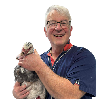 aa748f7c82a55e6e9569de9cb91e6ec0_edited.