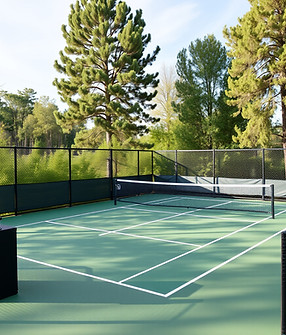 give a pickleball court.jpg