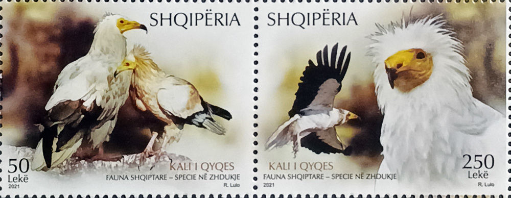 Албанія 2021, Птахи, MNH