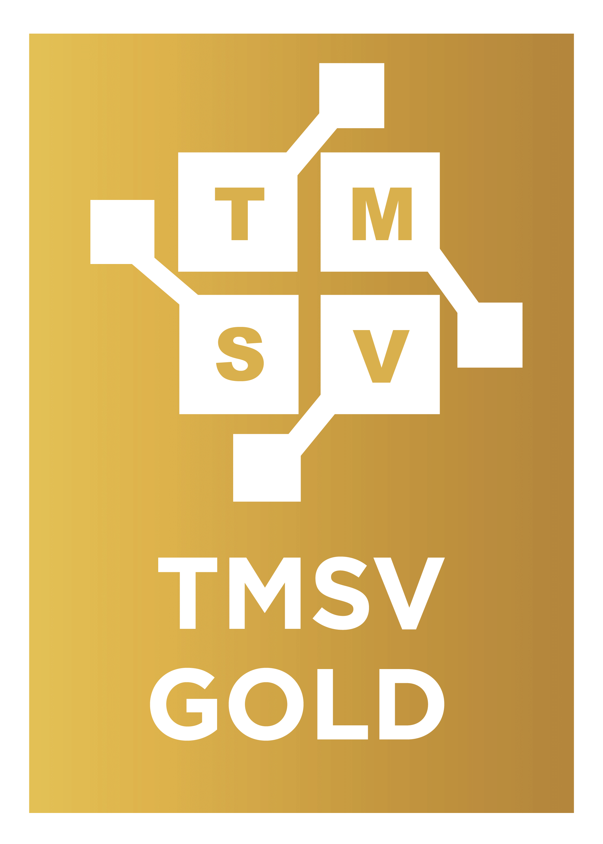 tmsv-03.png