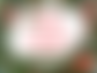 Oltec Group Is Open 24/7 Over Christmas & New Year