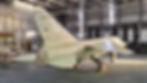 Primed tail view