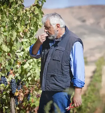 Nestares Eguizabal - Jose Maria Nestares - Graft Wine.webp