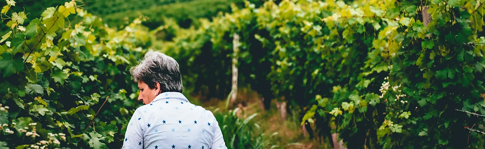 Ca ed Balos - Renata Bonacina in vineyard - Graft Wine_edited.png