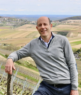 Maison Foucher - Marc Vappereau in viney