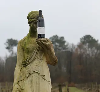 Jean-Marc Barthez x Mary Taylor - Bottle & Statue - Graft Wine.webp