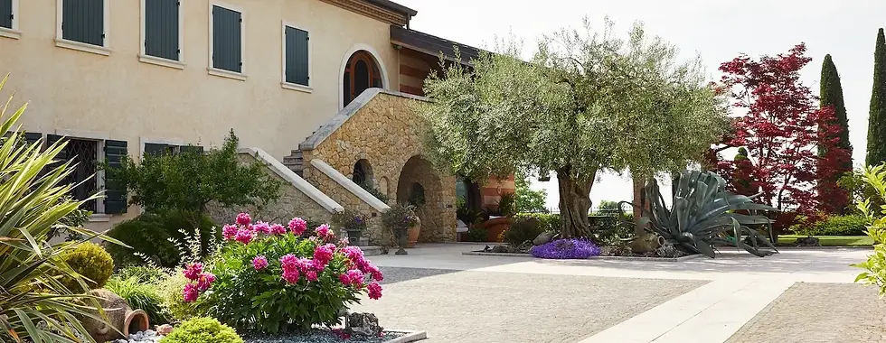 Alessandro Benini - Azienda.webp