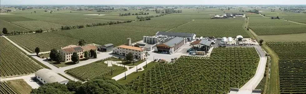 Ca di Rajo - Winery - Graft Wine.webp
