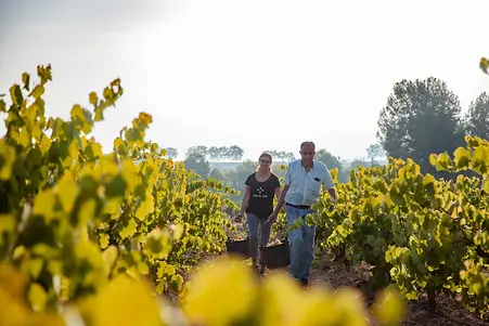 Vins el Cep - Pilar & Josep Carreras - Graft Wine.webp