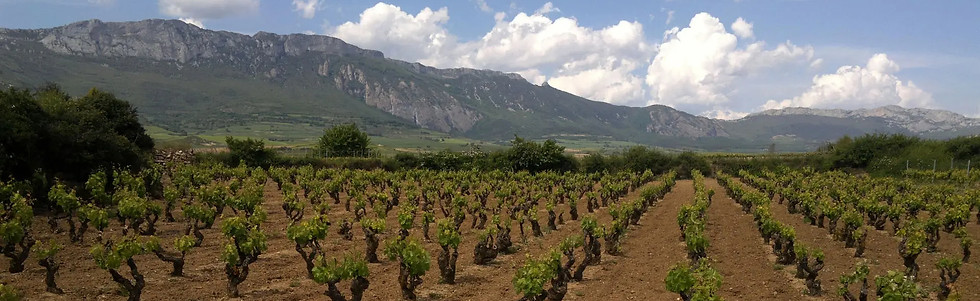 MacRobert & Canals - Vineyard and mounta