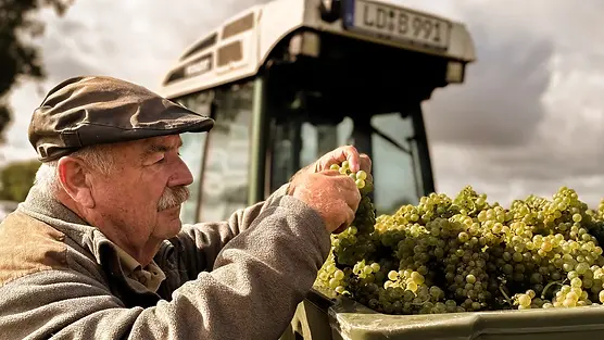 Emil Bauer - Norbert Bauer - Graft Wine.webp