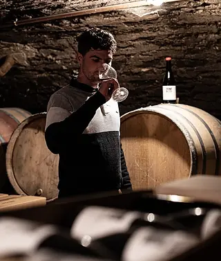 Maison Altisolis - Vincent Quenard in cellar 2 - Graft Wine.webp