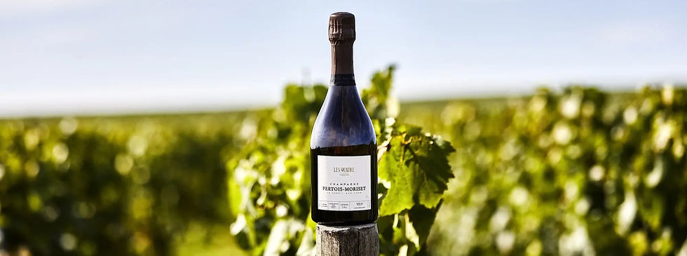 Bottle of Champagne Pertois-Moriset, cuvée Les Quatre Terroirs, photographed in the vineyards