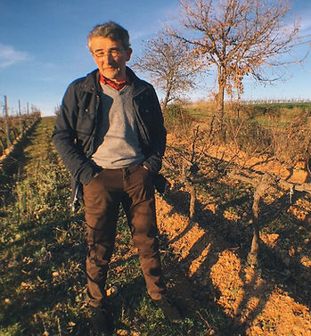 Bruno Lafon - in Vineyard - Graft Wine_e