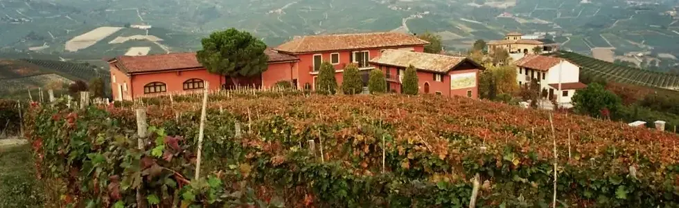 Sobrero Francesco Winery - Graft Wine.webp