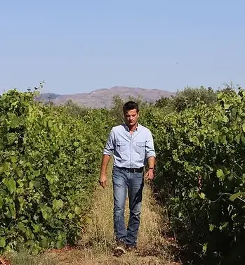 Mira do O - Nuno in vineyard - Graft Wine.webp
