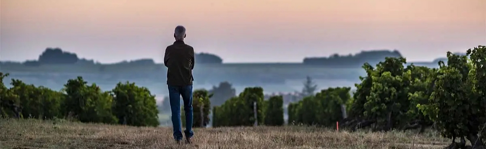 Domaine du Vieux Pressoir - Vineyard 1 -