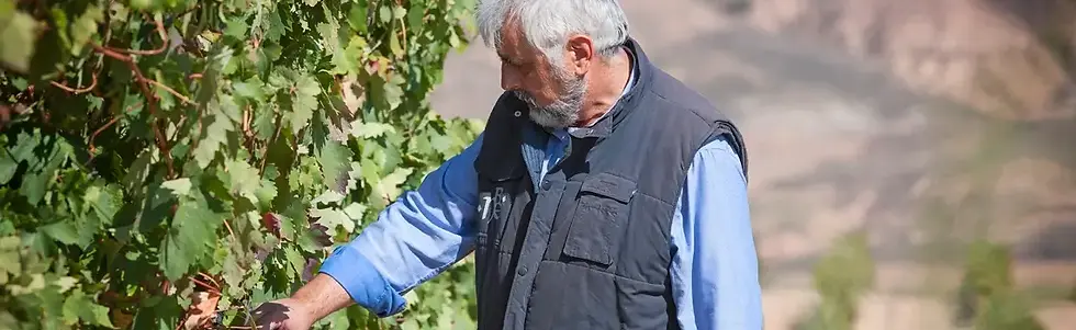 Nestares Eguizabal - Jose Maria Nestares landscape - Graft Wine.webp