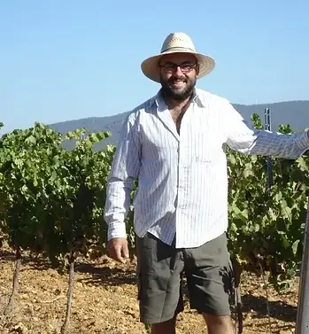 Marsilea - Sebastian Mancebo - Graft Wine.webp