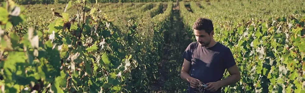 Leo Charruau - in vineyard - Graft Wine.webp
