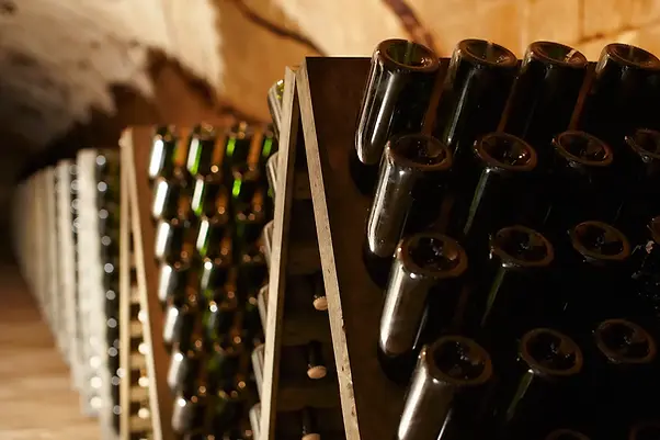 Champagne Pol Roger - Cellar 1 - Graft Wine.webp