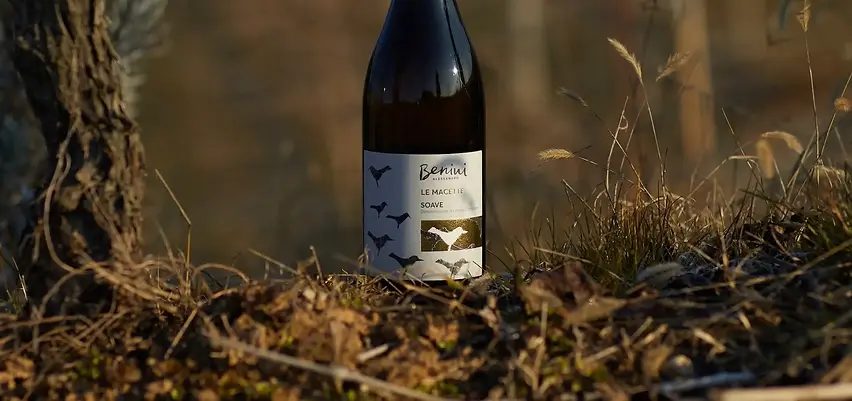 Alessandro Benini - Soave bottle in vineyards.webp