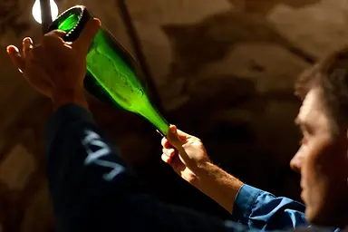Champagne Pol Roger - Cellar 13 - Graft Wine.webp