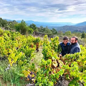 Las Pedreras - Barbara and Guzman vineyard - Graft Wine.webp