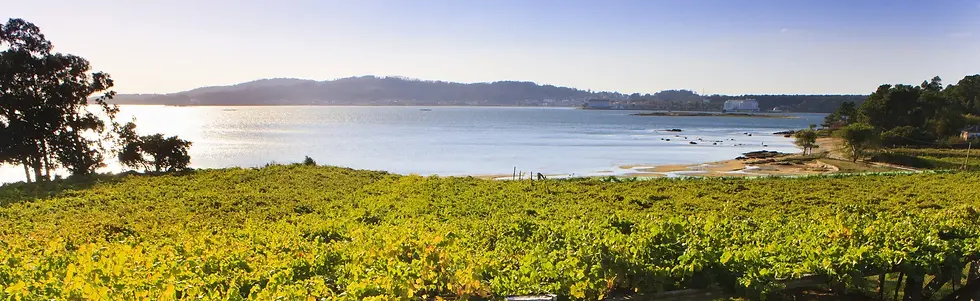 Casa Monte Pio - Landscape - Graft Wine.webp