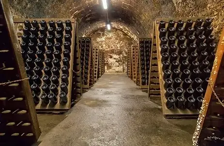 Bocchoris Cava - Most Dore cellars bottle - Graft Wine.webp