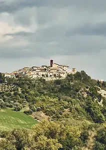 Tocco - Landscape 2 - Graft Wine.webp