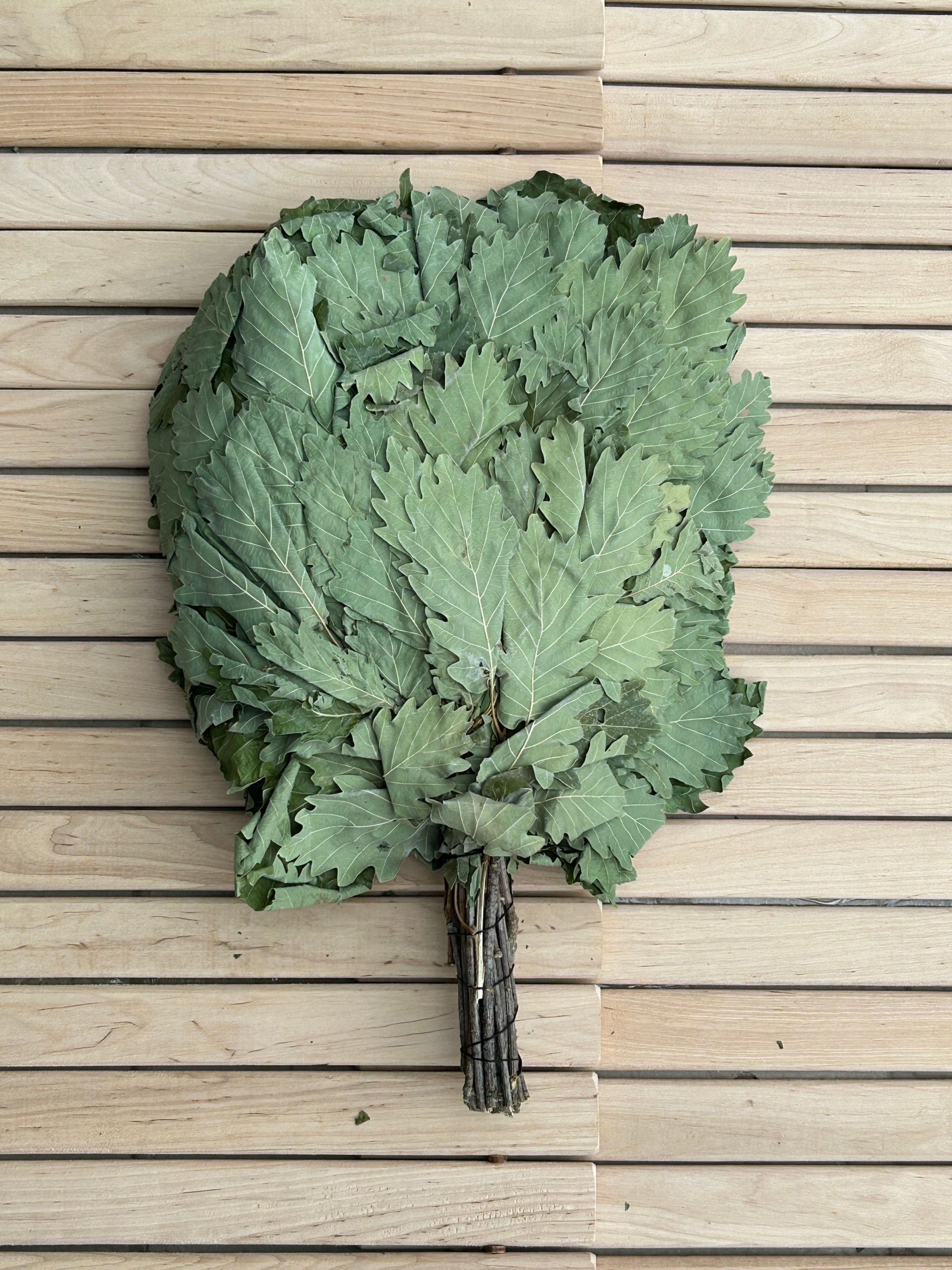 Caucasian oak sauna whisk