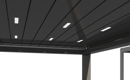light (2).png