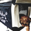 Miniaturbild: Hundetransportbox faltbar