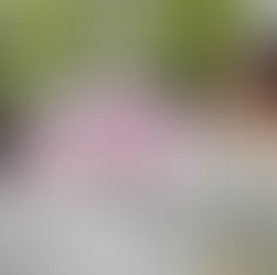 コース選びに迷ったら?着物の着方教室