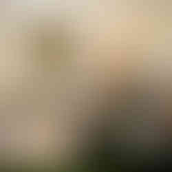 洛趣会 川島織物展示