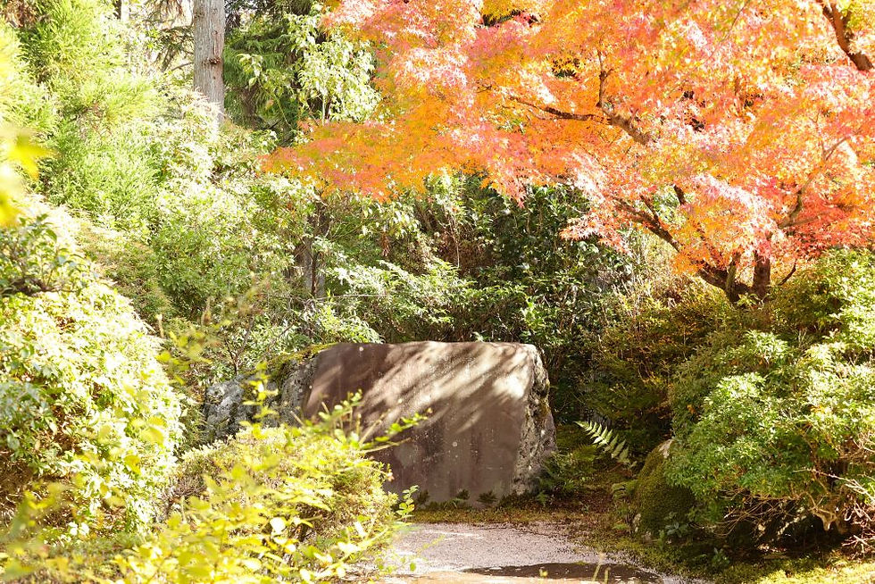 常照寺境内にある帯塚 (帯の形になった自然石)