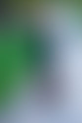 A Girl That Can Do Both