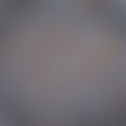 AI as Your Co-Pilot: Elevating Sales, Efficiency, and Brand Control in the CPG Industry